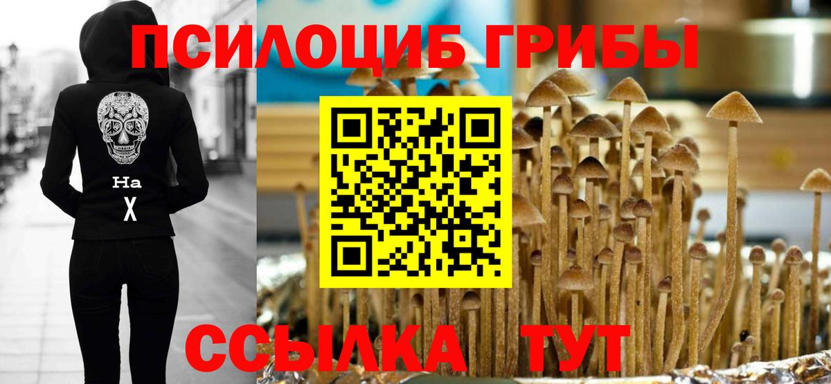 Псилоцибиновые грибы мицелий Большой Камень
