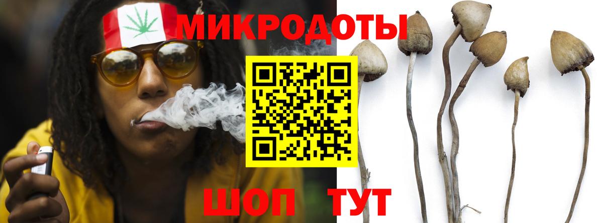 где купить наркотик  Вход с VPN  Большой Камень  Псилоцибиновые грибы MAGIC MUSHROOMS 